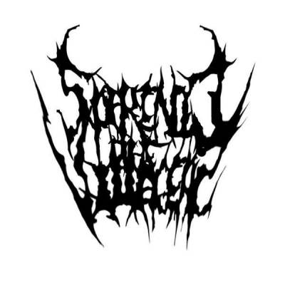 logo Spare Not The Villagers